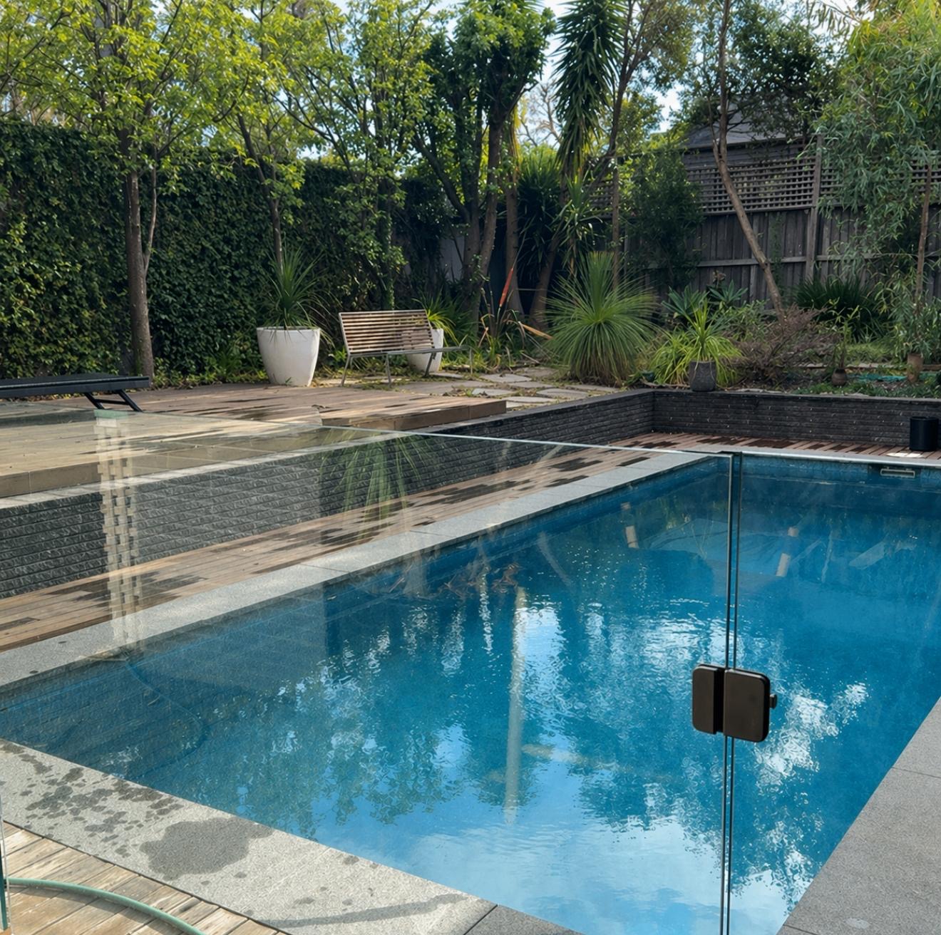 Modern landscaped pool with frameless glass barrier